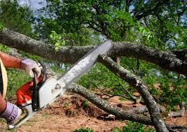 Leaf Removal in Saratoga Springs, NY